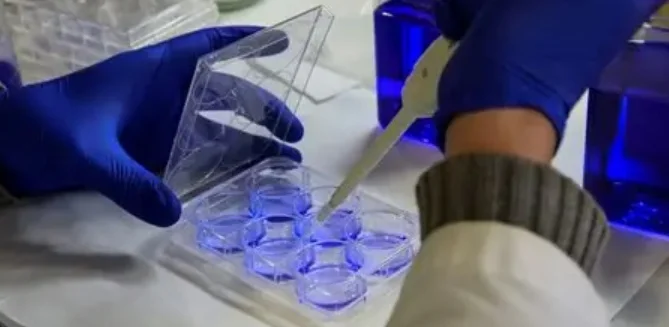 Excalipoint Therapeutics launches with $68.7 M to develop next-gen T-cell engager therapies in China